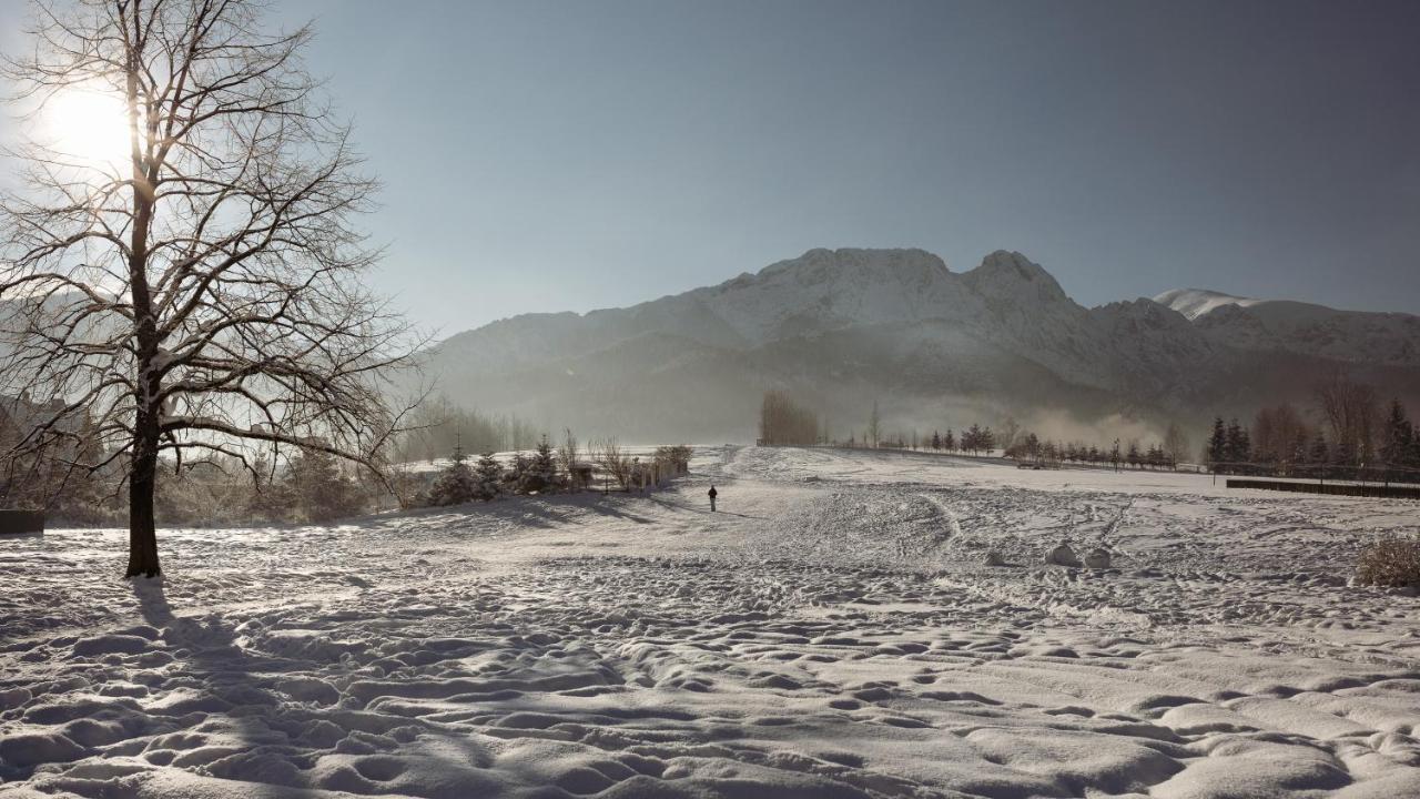 Dom Pod Lipkami Apartment Zakopane Exterior photo